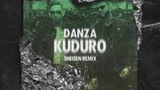 Dario wonders  danza kuduro  remix audio [upl. by Harias]