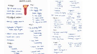 CARCINOMA OF PENIS NOTES ONE PAGE NOTES  TESTIS  SURGERY  4TH PROFF  MBBS [upl. by Tarttan]