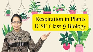 Respiration in Plants Glycolysis amp Kreb Cycle  ICSE Class 9 Biology  SOF  NTSE  NSTSE [upl. by Norrie]