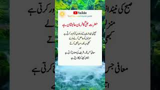 حضرت علی کا فرمان عالیشان wazifa wazifaforhifazat islamic allah trending aqwal [upl. by Nataline]