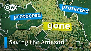 Can Brazil save the Amazon this time [upl. by Enened773]