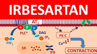 Irbesartan  Mechanism precautions side effects amp uses [upl. by Mixam]