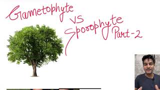 Gametophyte VS Sporophyte Part  2 l NEET l CBSE l Plant Kingdom [upl. by Reginauld64]