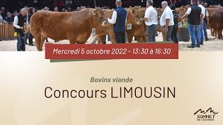 Sommet de lélevage 2022  Concours LIMOUSIN  05102022 [upl. by Gerda89]