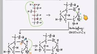 Ringschluss der DGlucose [upl. by Aeneas]