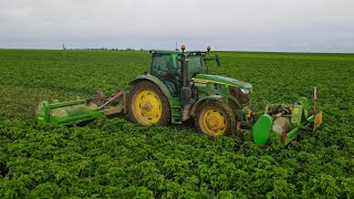 BROYAGE DES FANES DE PATATES EN BEAUCE  JD 6155R amp BASELI [upl. by Ecnav131]