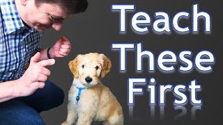 3 Easy Things to Teach your NEW PUPPY [upl. by Aima]