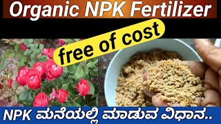 ರೂಪಾಯಿ ಖರ್ಚಿಲ್ಲದ ಆರ್ಗಾನಿಕ್ NPK ಮಾಡುವ ಸುಲಭ ವಿಧಾನhow to make organic NPK at homeNPK Fertilizer [upl. by Esined164]