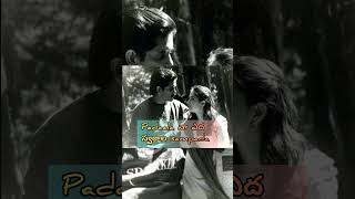 Geetanjali movie Songs aamani paadave haaygaa Lyrical Song Telugu Nagarjuna hits [upl. by Lauro959]