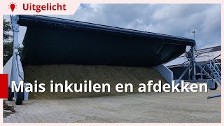 Uitgelicht  Mais inkuilen en afdekken met afdeksysteem [upl. by Guidotti]