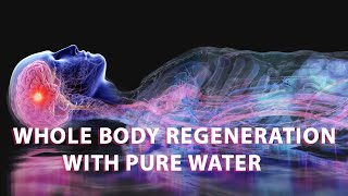 528 Hz  Whole Body Regeneration With Pure Water  Whole Body Healing Of Physical And Mental [upl. by Still566]