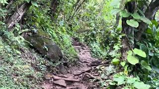 Hiking the Kalalau Trail at Haena State Park in Kauai Hawaii IMG 6633 [upl. by Abbottson582]