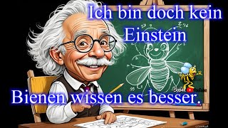 Ableger 15 DNM Brutraum verhonigt Imkerei Bienen und Natur 2024 [upl. by Ahsinnek698]