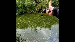 Making skipping with Shimano Curado bfs [upl. by Salena8]