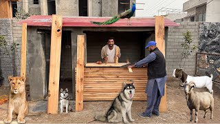 Animals K Lye Kitchen Bnwa Rhy Hain Bht Piari Si😍 [upl. by Mrots]