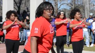 Delta Sigma Theta  Theta Xi  Founders Day Celebration 2016 [upl. by Kameko319]