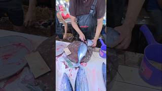 How to clean tuna shorts [upl. by Romney884]