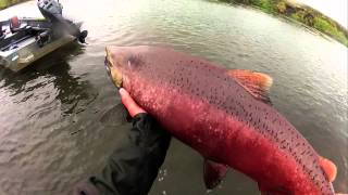 Fly Fishing Alaska with Dave Duncan and Sons [upl. by Yard]