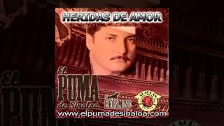 El Puma de Sinaloa  Heridas de Amor [upl. by Naji524]