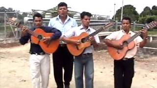 Pasillos y pasacalles ecuatorianos guitarras  Santa Lucía Guayas Ecuador [upl. by Christy868]