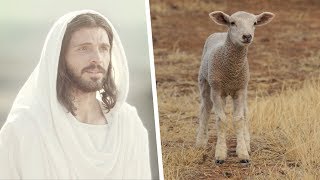 Jesus Christ the Passover Lamb [upl. by Anirt834]