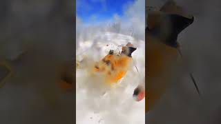 The cheering was on point best extremesport snow snowboardfails [upl. by Anej]