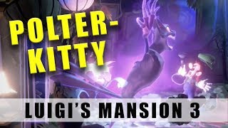 Luigis Mansion 3 how to catch and beat Polterkitty [upl. by Hillie]