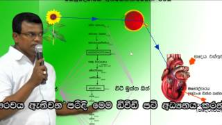 Paramartha Lokaya 06 of 10 [upl. by Laktasic]