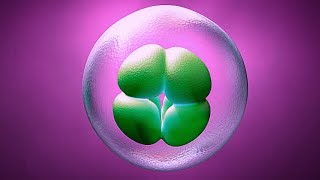 Mitosis and Meiosis in detail 7 minutes lecture [upl. by Cram569]