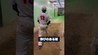 NTSに選ばれた投手が凄い 野球 kボール softball プロ野球 送球 baseball ゴムボール野球 豪速球 sportsequipment [upl. by George590]