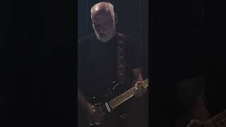 davidgilmour Comfortably Numb solo newyork music trump 2024 shorts reels guitar pinkfloyd [upl. by Elnar818]