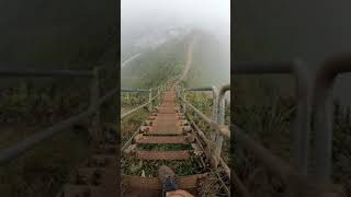 Stairway to Heaven Haiku stairs in Oahu Hawaii hawaii hiking stairwaytoheaven adventure oahu [upl. by Earl487]