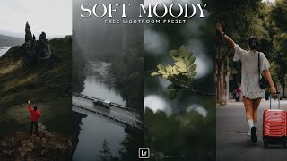 Soft Moody Preset  Lightroom Mobile Preset Free DNG  Soft preset  Moody Preset  lightroom preset [upl. by Jemena]