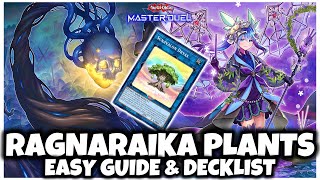 RAGNARAIKA PLANTS  EASY GUIDE amp DECKLIST [upl. by Clementius]