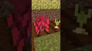 What tasty treats Minecraft hides addition [upl. by Haididej]