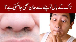 The Hidden Dangers of Plucking Your Nose Hairs [upl. by Erie]