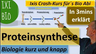 Proteinbiosynthese in 3 Minuten erklärt Transkription Translation Biologie kurz und knapp [upl. by Feer]