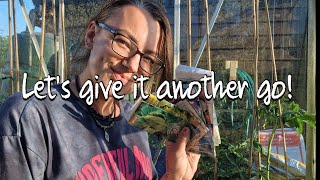 Hopefully its not too late Allotment ideas UK [upl. by Kalinda]