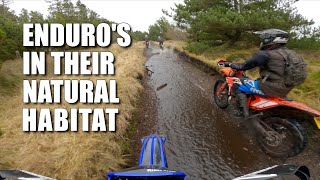 Fauldhouse Enduro Trails  Awesome Ride in Soggy Scottish Wasteland [upl. by Castera875]