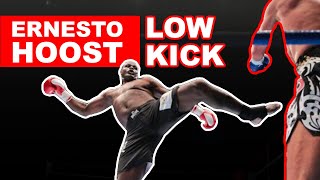 3 Ernesto Hoost Low Kick Techniques [upl. by Aidyn]