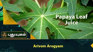 Papaya Leaf Juice  Pappali Ilai Saru Papaya Leaf Juice  A Surprising Natural Remedy for Fever [upl. by Leuams]