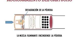 EXPLICACION DEL VIDEO DEL DISPARO DEL CARTUCHO DE ESCOPETA [upl. by Ahsrats]