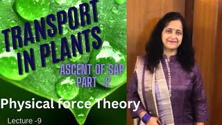 Physical Force Theory  Best Explanation  Ascent Of Sap  Transport In Plants Biology Ocean [upl. by Emlynne]