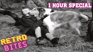 Lassie  1 Hour Special  Lassie English Full Episodes 🐕 [upl. by Sutniuq]