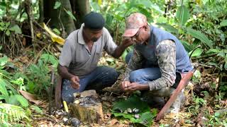 Preparing Black Concs for cooking Trinidad amp Tobago South Eastern Hunters Association [upl. by Andrel]