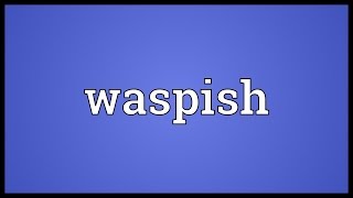 Waspish Meaning [upl. by Aschim855]