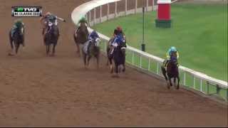 RACE REPLAY 2015 Breeders Cup Classic featuring American Pharoah [upl. by Justinn371]