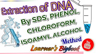 DNA extraction by SDS Method  Phenol Chloroform mixture [upl. by Tnilk]