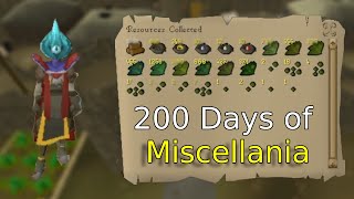 Loot From 200 Days of Miscellania WoW [upl. by Chas546]