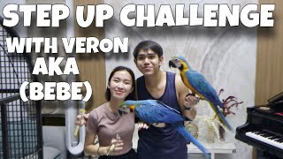 STEP UP CHALLENGE WITH BEBE Teaching our Blue and Gold Macaw Parrot how to step up  Murillo Bros [upl. by Myra]